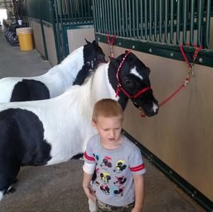 Meet your Posher, James